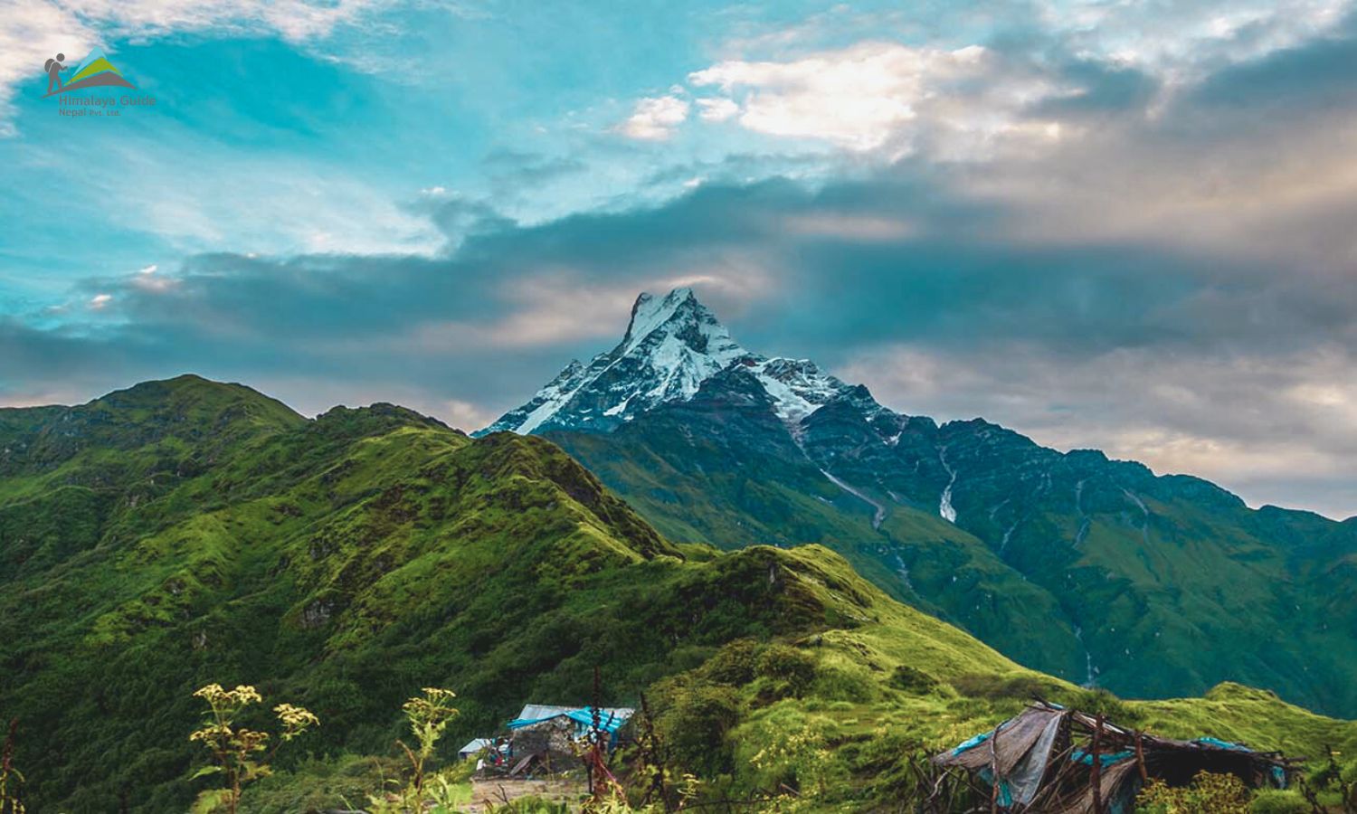 xr:d:DAFhZJKCohI:3,j:3608838055,t:23042812