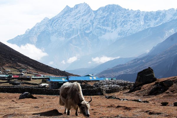 Langtang Gosaikunda Trek