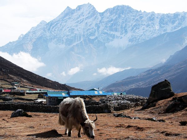 Langtang Gosaikunda Trek